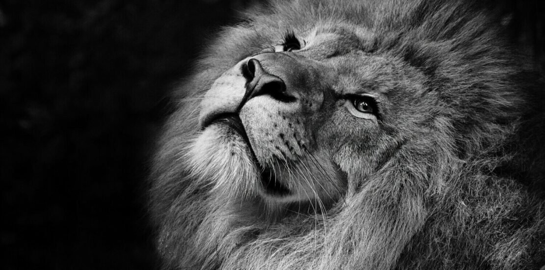 ir:-5-mitos-que-ainda-confundem-contribuintes