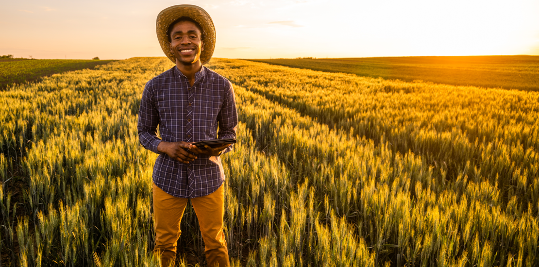 reforma-tributaria-pode-alterar-a-formacao-de-precos-no-agronegocio