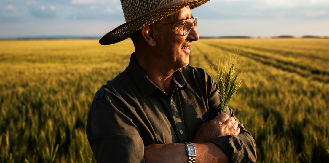 desenrola-rural:-prazo-final-para-renegociacao-de-dividas-agricolas