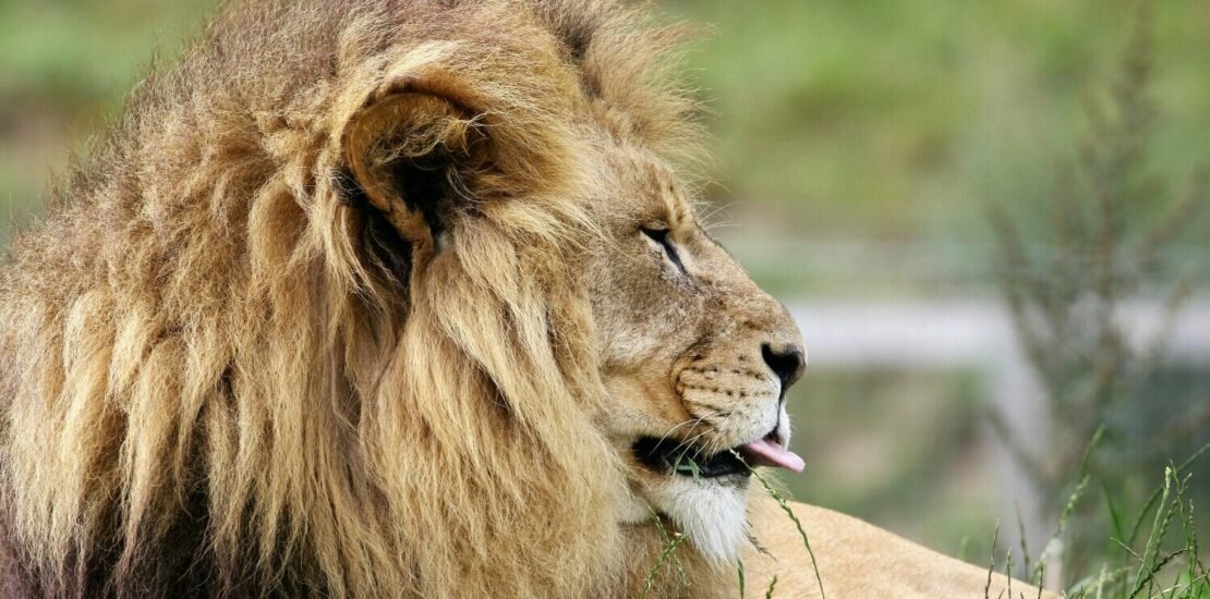 aquecimento-para-o-irpf-2026:-prepare-se-para-a-entrega-do-ano