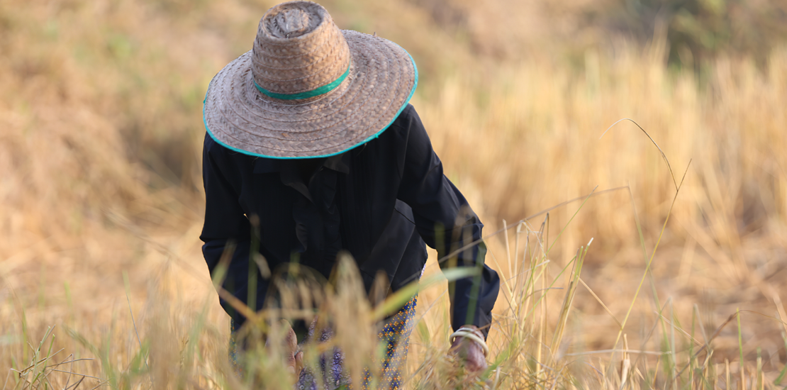 nr-31:-mte-esclarece-regra-sobre-chapeu-e-capacete-no-campo