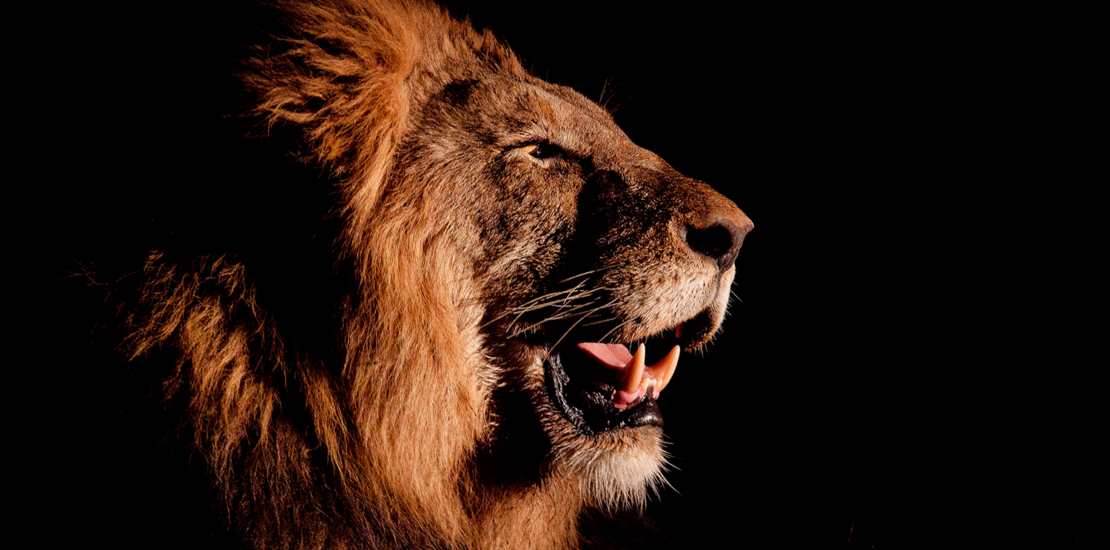 imposto-de-renda-2026:-como-se-preparar