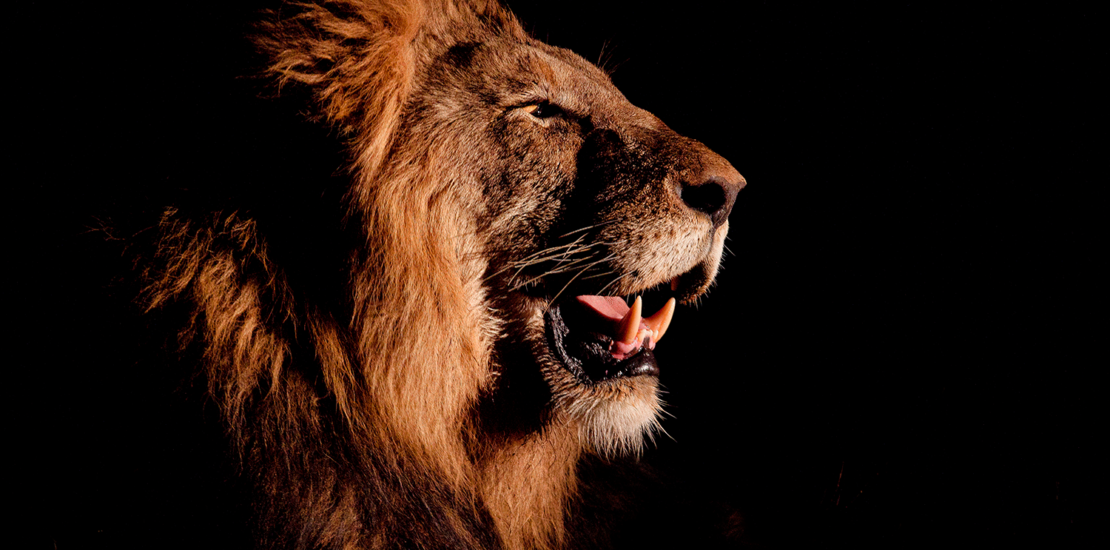 rfb-libera-regras-do-imposto-de-renda-2026;-veja-novidades