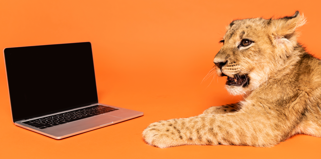 irpf-2026:-chatbot-do-leao-responde-quem-precisa-enviar-declaracao