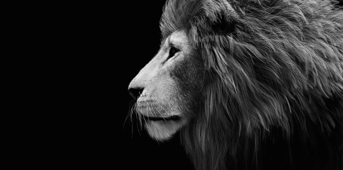 ir-2026:-rfb-inicia-serie-de-lives