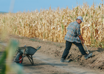 trabalhadores-rurais-sao-isentos-de-multa-para-tempo-de-aposentadoria-anterior-a-1991