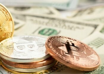 imposto-de-renda:-como-declarar-criptomoedas-e-evitar-a-malha-fina