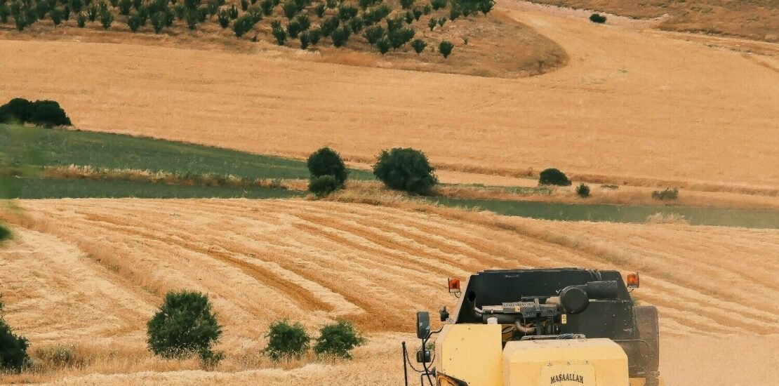 credito-rural:-mp-de-renegociacao-da-divida-do-agronegocio