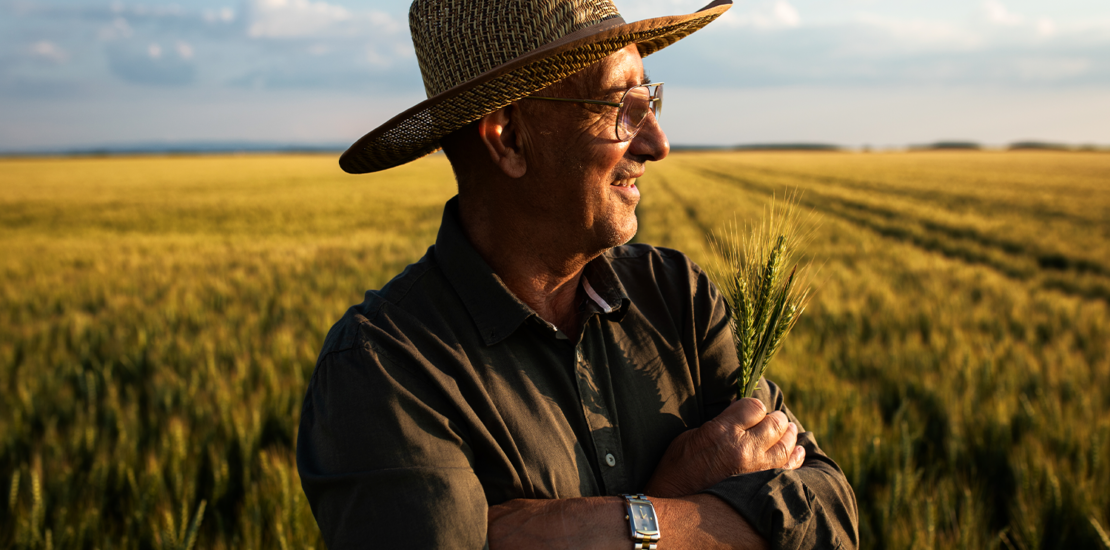 seguro-rural:-senado-aprova-novas-regras-e-juros-menores